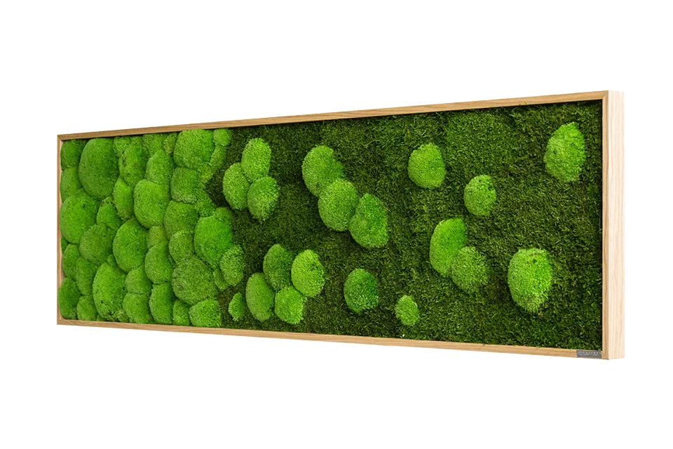 Wide Merging Moss Wall Art (140x40cm) - Image 8