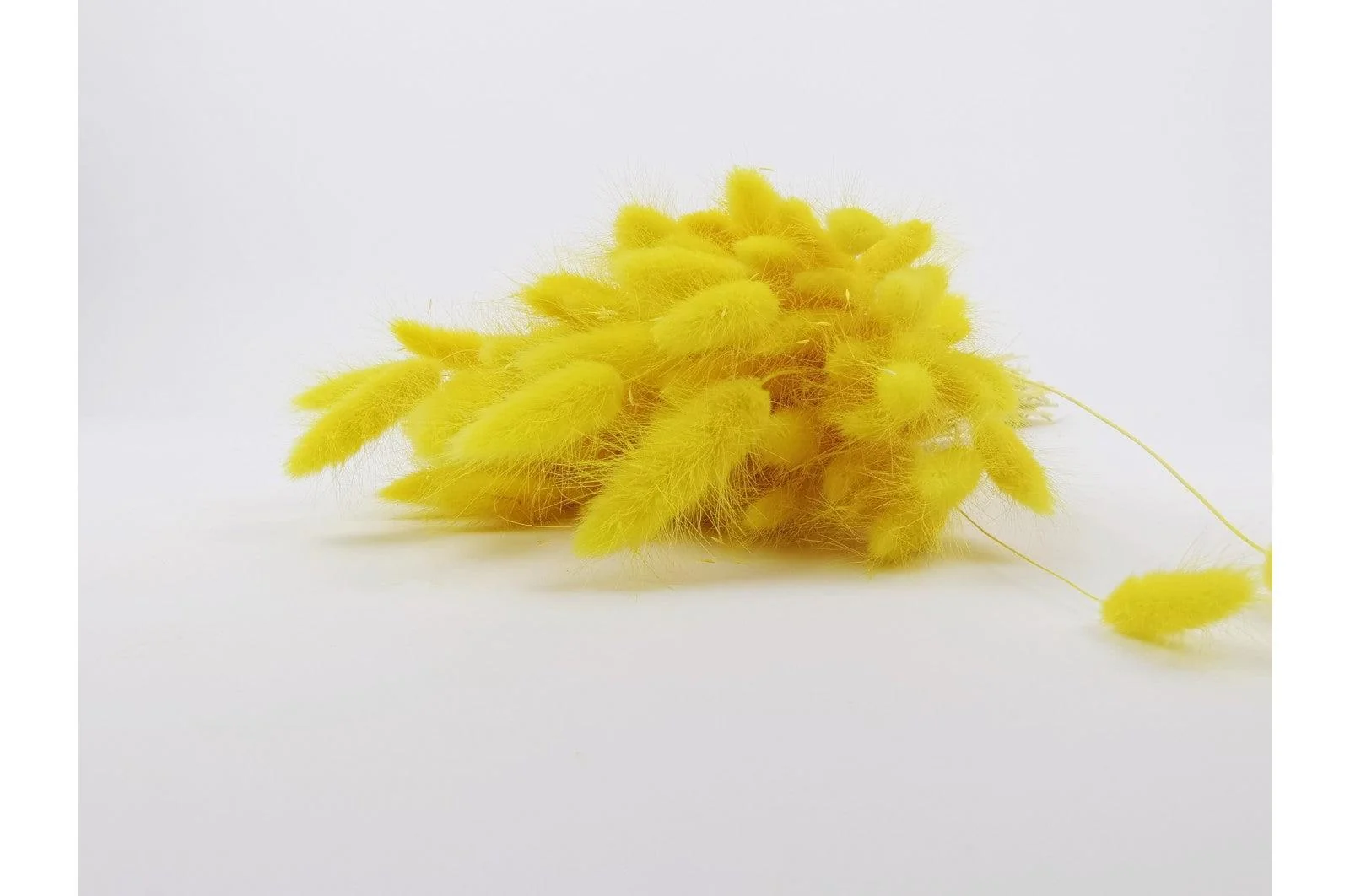 Italian Yellow Lagurus Bouquet - Image 3