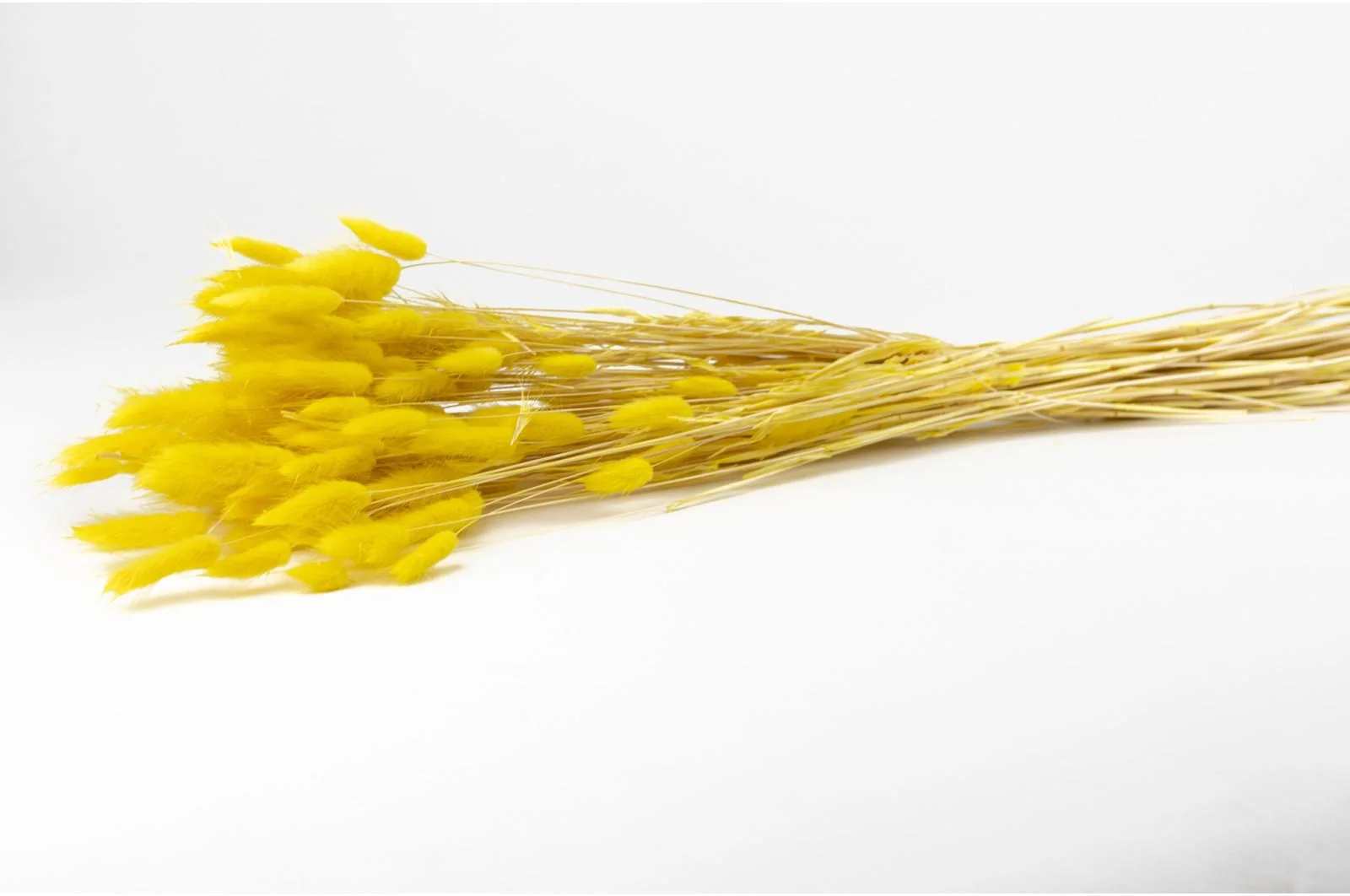 Italian Yellow Lagurus Bouquet - Image 4