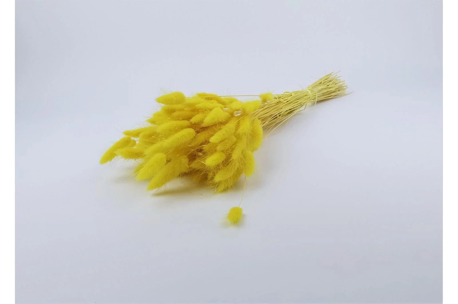 Italian Yellow Lagurus Bouquet - Image 5
