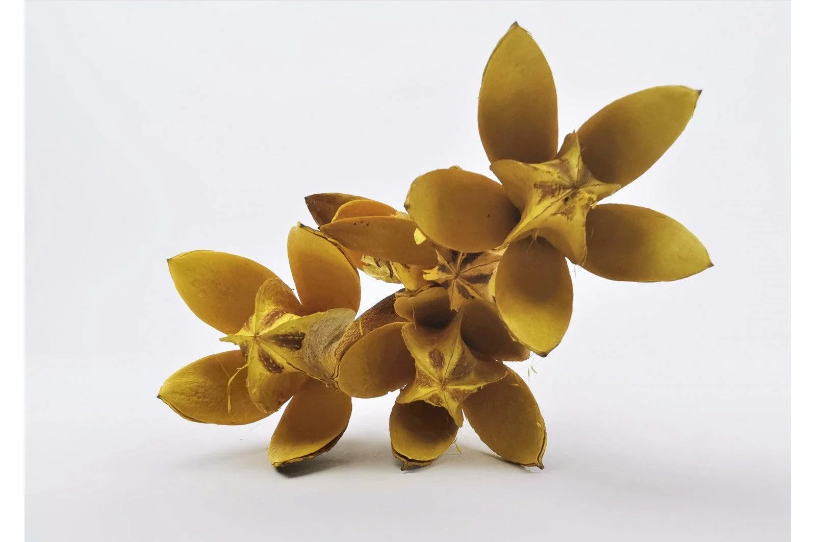 Italian Yellow Lily Flower Bouquet - Image 4